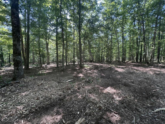 0 TRANQUIL ACRES, 2 AND 3, SEQUATCHIE, TN 37374 - Image 1