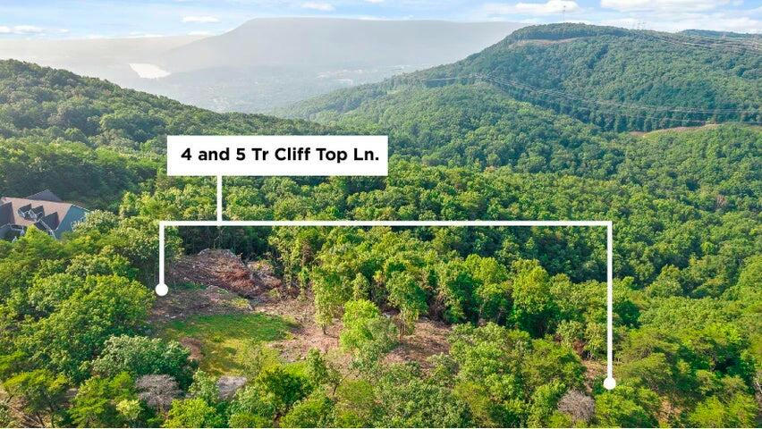 4 CLIFF TOP LN, CHATTANOOGA, TN 37419, photo 1 of 23