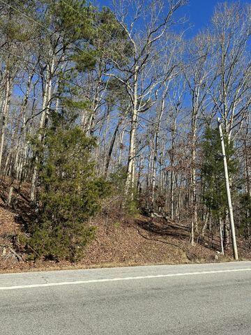 3 NW LOWER RIVER RD, CHARLESTON, TN 37310, photo 1 of 4