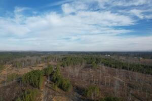 LOT 5 SE CARTER RD, OLD FORT, TN 37362, photo 4 of 5