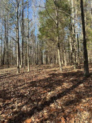 1 NW LOWER RIVER RD, CHARLESTON, TN 37310, photo 3 of 4