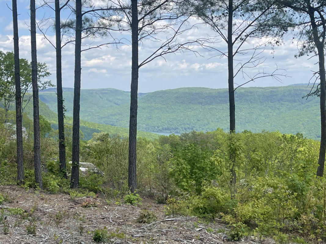 0 CATFISH VIEW, LOT 1300, GUILD, TN 37340, photo 1 of 41