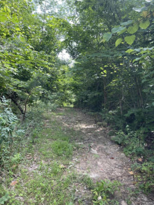 035 ORME MOUNTAIN RD, SOUTH PITTSBURG, TN 37380 - Image 1
