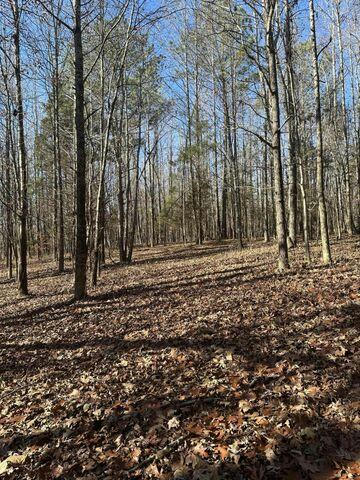 1 NW LOWER RIVER RD, CHARLESTON, TN 37310, photo 1 of 4