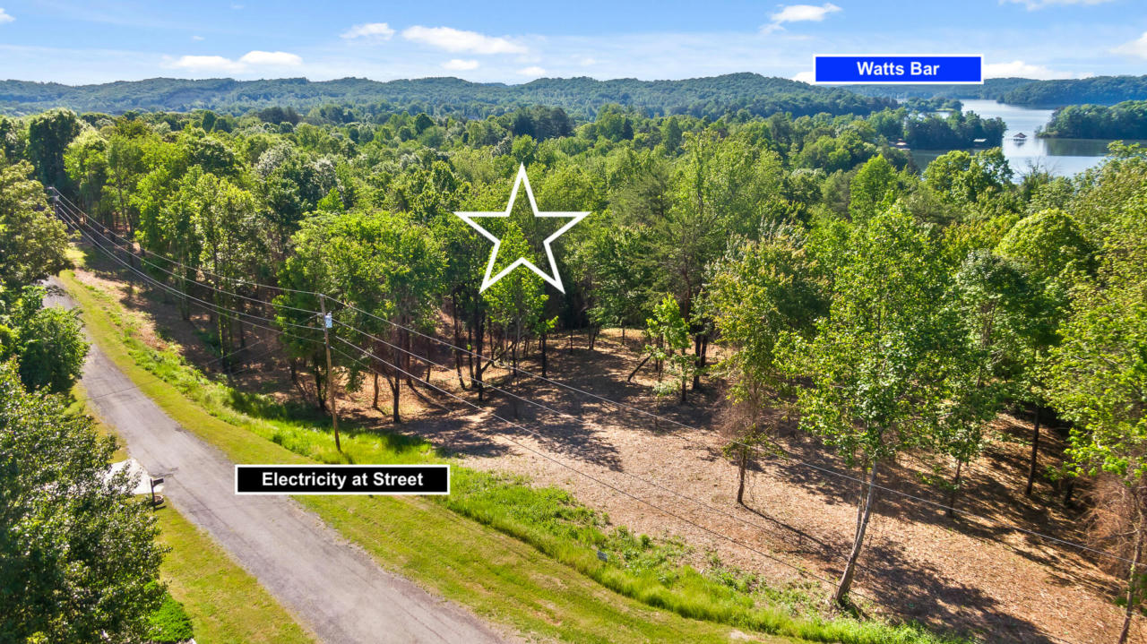 LOT 12 PINEY VIEW DR, SPRING CITY, TN 37381, photo 1 of 23