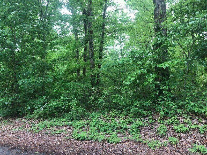 LOT #40 MCCLANAHAN NW DR, CLEVELAND, TN 37312, photo 1