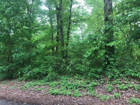 LOT #40 MCCLANAHAN NW DR, CLEVELAND, TN 37312 - Image 1