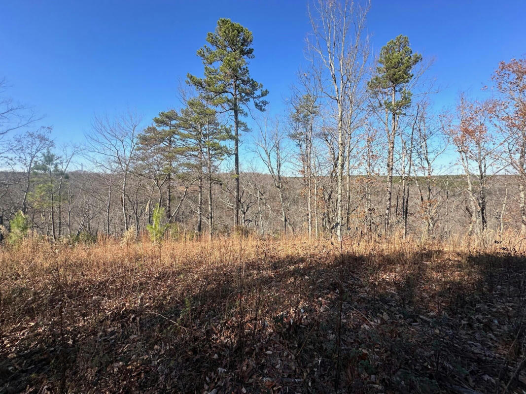 TRACT 3 SOUTH PITTSBURG MTN ROAD, SOUTH PITTSBURG, TN 37380, photo 1 of 6