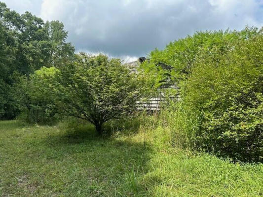 TRACT 2 PRATER ROAD, PIKEVILLE, TN 37367, photo 5 of 23