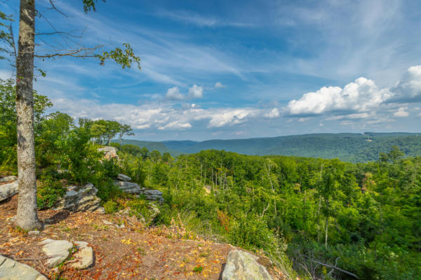 0 CATFISH VIEW, GUILD, TN 37340 - Image 1