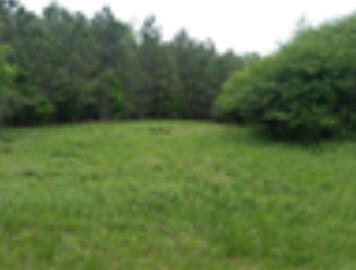 LOTS 3&4 WASHBOARD RD, OLD FORT, TN 37362 - Image 1