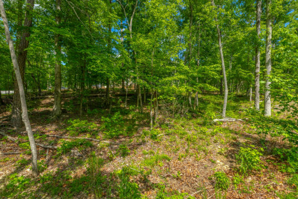 11564 ARMSTRONG RD, SODDY DAISY, TN 37379 - Image 1