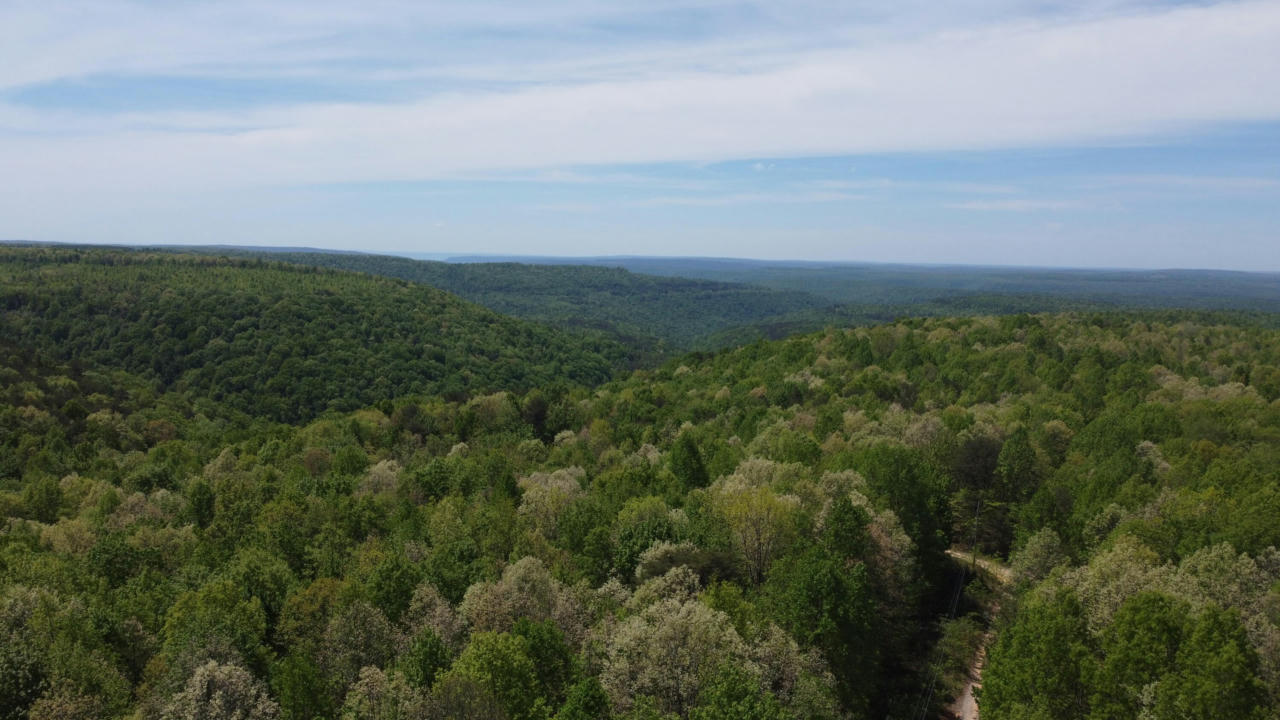 0 PALMER FIRE TOWER RD, TRACY CITY, TN 37387, photo 1 of 42