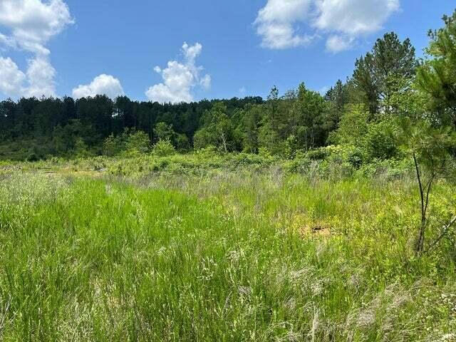 0 COUNTY RD, ATHENS, TN 37303, photo 1 of 3