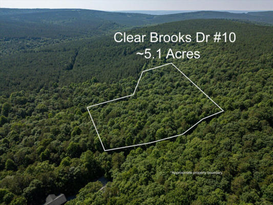 0 CLEAR BROOKS DR, SIGNAL MOUNTAIN, TN 37377 - Image 1