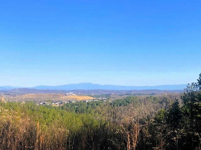 TRACT 4 SW OWL HOLLOW RD, MCDONALD, TN 37353, photo 1 of 19