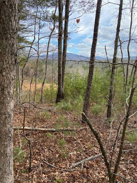137 ROCKY FORD SPUR, TURTLETOWN, TN 37391, photo 1 of 14