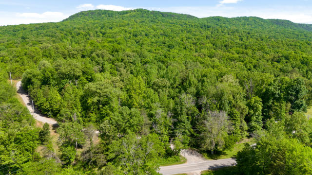 25 ACRES VALLEY VIEW HWY, WHITWELL, TN 37397 - Image 1
