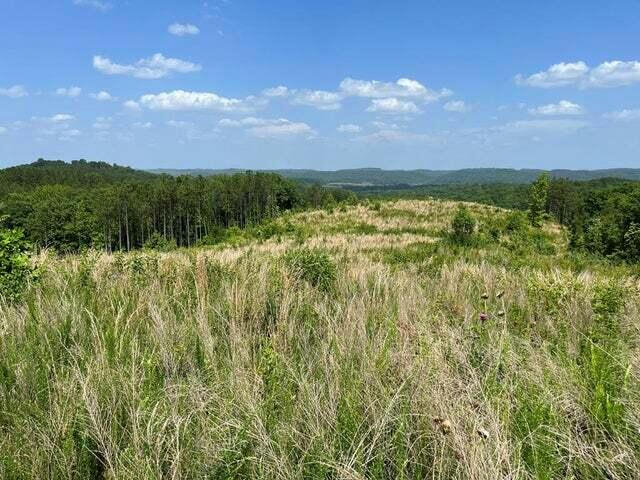 00 COUNTY RD, ATHENS, TN 37303, photo 1 of 2