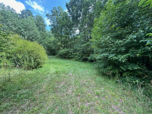 TRACT 2 PRATER ROAD, PIKEVILLE, TN 37367 - Image 1