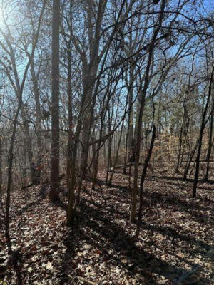 2 NW LOWER RIVER RD, CHARLESTON, TN 37310, photo 3 of 4