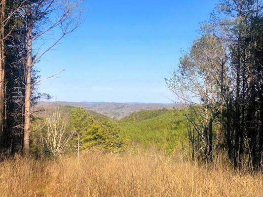 TRACT 4 SW OWL HOLLOW RD, MCDONALD, TN 37353, photo 2 of 19